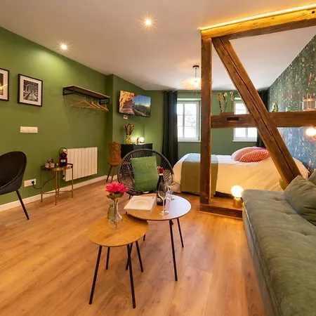 Aparthotel Le Nid D'hag Haguenau
